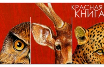 Охранный статус и Красная Книга