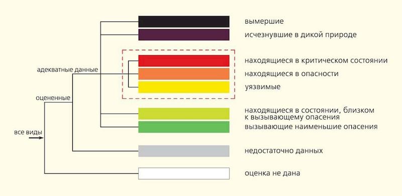 Какие бывают категории МСОП